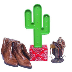 Luminária Led Cacto