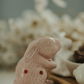 Coelho Porcelana Poá