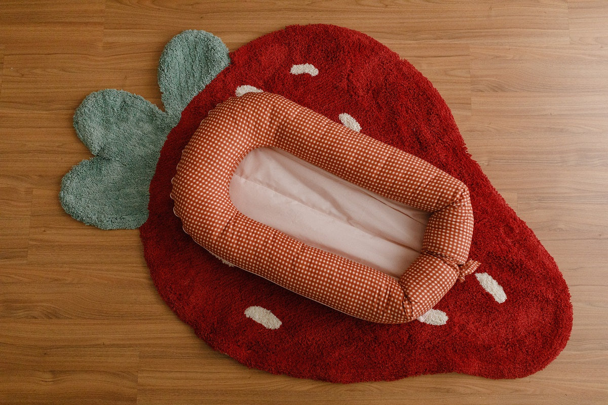 Ninho para Bebê Vichy Vermelho