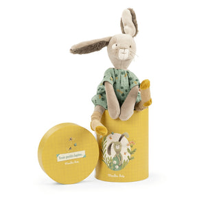 Pelúcia Com Caixa Coelho Sage Trois Petits Lapins 34cm Moulin Roty