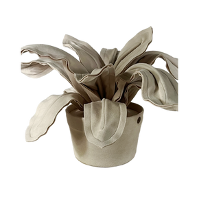 Vaso Bromélia